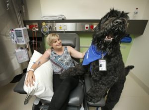 Bayside Buddies - Pet Therapy