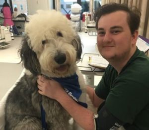 BaysideBuddies_DogTherapy
