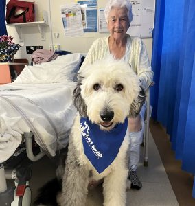 Bayside Buddies - Pet Therapy